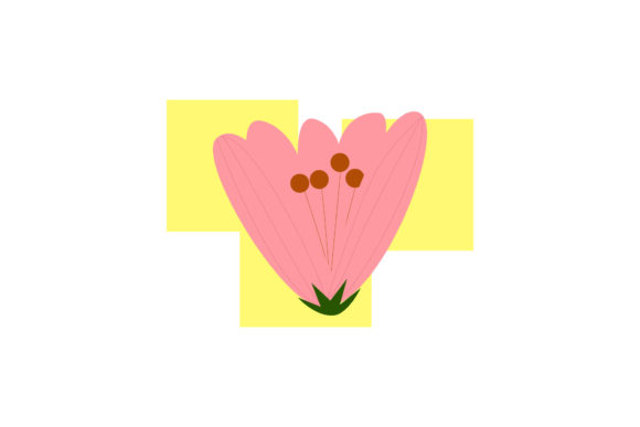 Botanical Flowers Illustrations: A Publisher’s Review of Fresh Graphics and Editorial Design