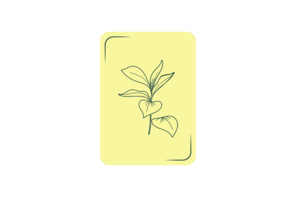 Flowers Beauty Card Illustrations Graphics Review