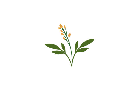 Flowers Design Flora Graphics and Illustrations Review