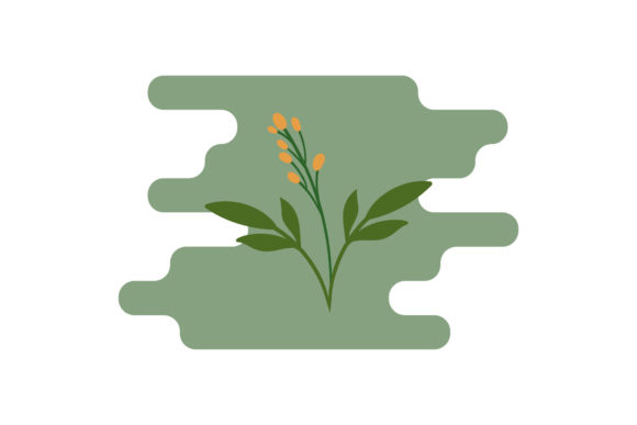 Flowers Designs Flora Graphics and Illustrations Review