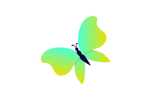 Flowers Icon Colorful Graphics and Illustrations Review