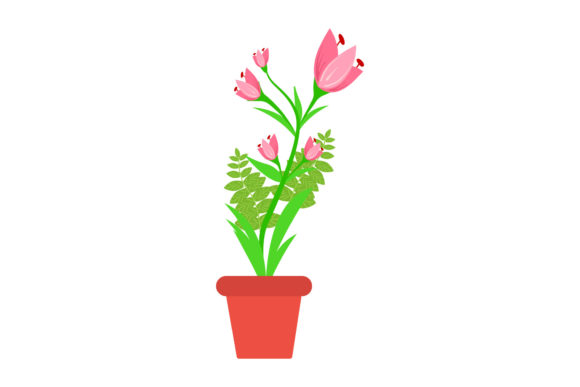 Flowers Lily Beauty Style Graphics and Illustrations Review