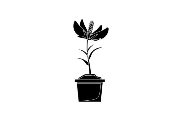Flowers Pot Decorative Black Icon Graphics and Illustrations Review